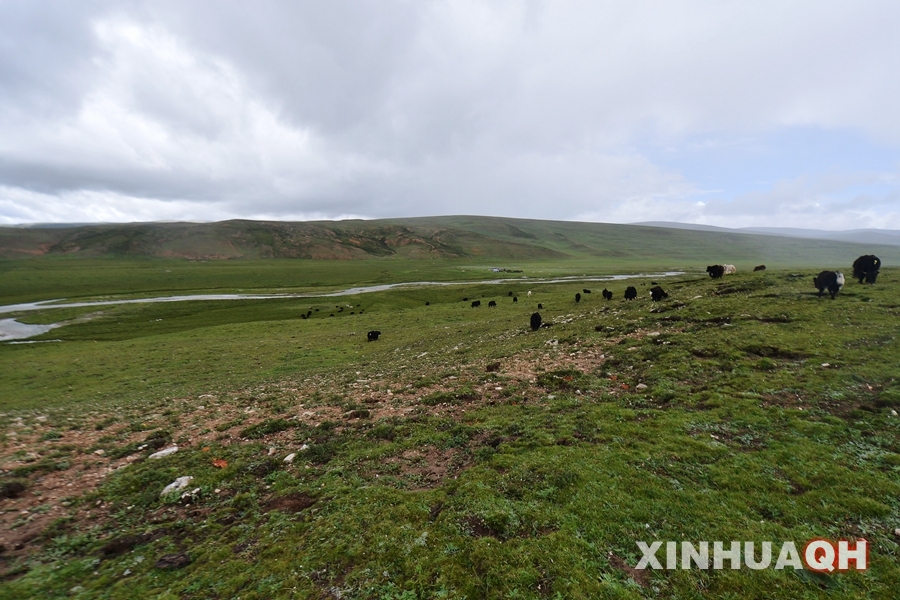 "千湖美景"归来 三江源自然保护区生态环境初步改善