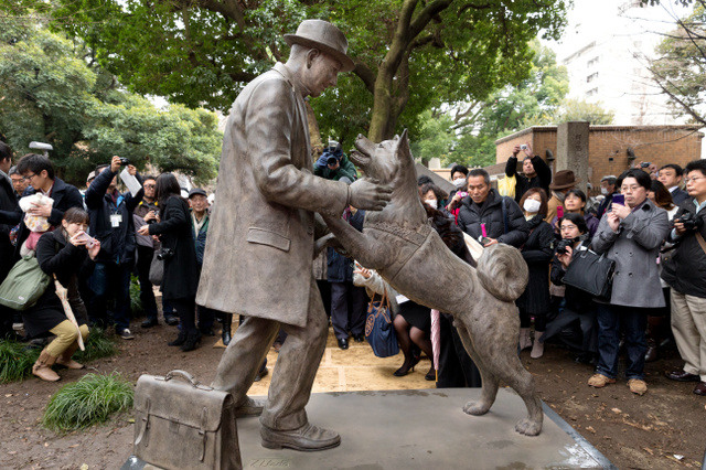 东京大学新设忠犬八公铜像 死后80年与主人再