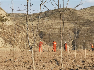 植绿江源 为新一轮国土绿化开路助力