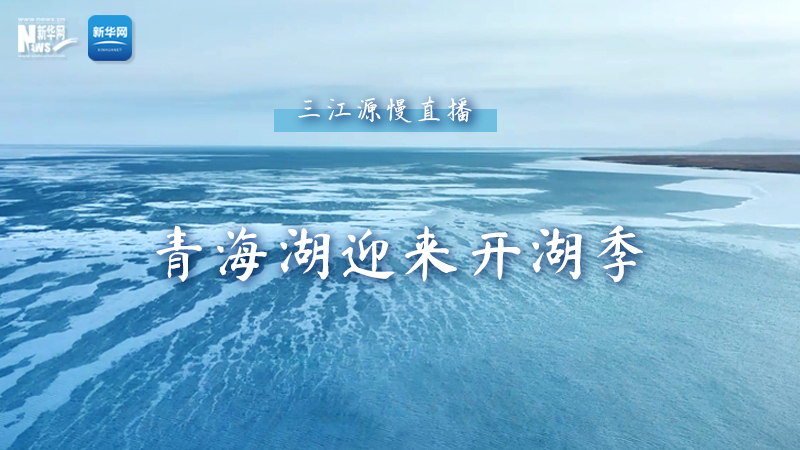 三江源慢直播——青海湖迎来开湖季