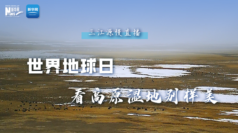 大美中国丨世界地球日，看高原湿地别样美