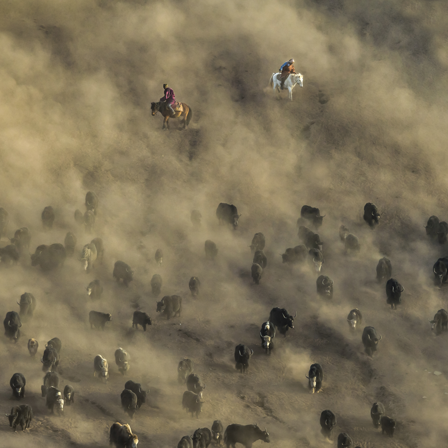 “雪山大地·影像季”参赛作品展(十九)