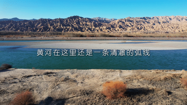 世界地球日丨每一棵树,都是答案-新华网