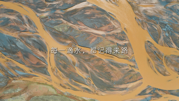 世界地球日丨每一棵树,都是答案-新华网