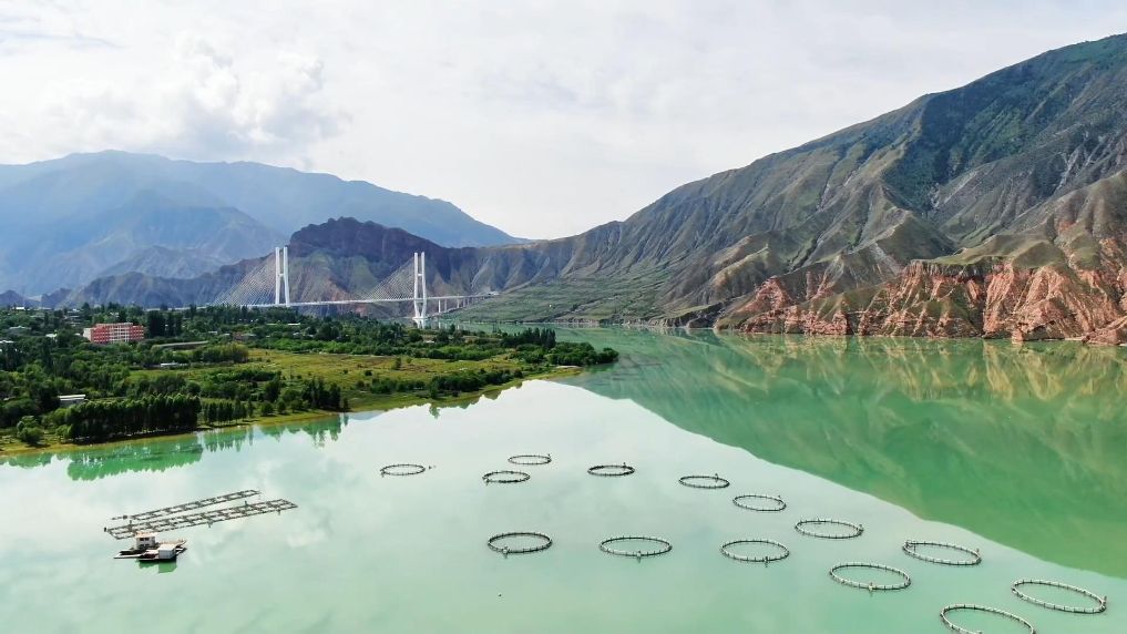 新华视点｜跃江出海：青藏高原冷水鱼远销世界