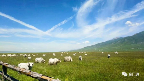 全省休闲牧业与旅游业发展现场观摩会在门源召开