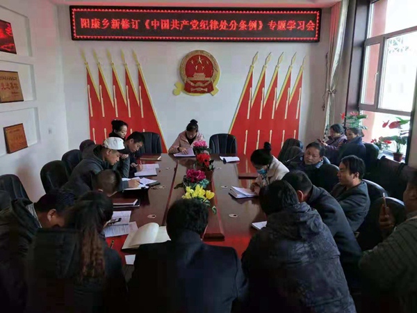 阳康乡组织学习《中国共产党纪律处分条例》并